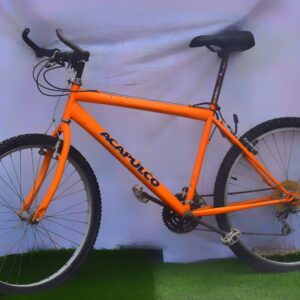 Acapulco Mountain Bike