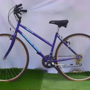 Diamondback Mountain Bike