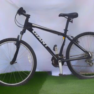 Giant Mountain Bike