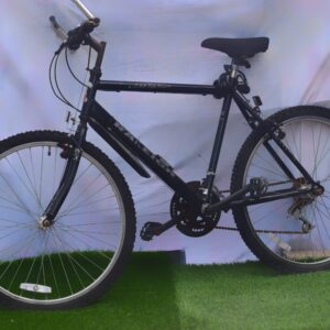 Raleigh Mountain Bike