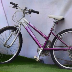 Raleigh Mountain Bike