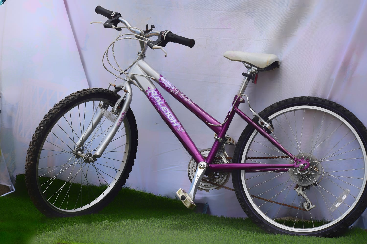 Raleigh Mountain Bike