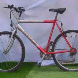 Sidewinder Mountain Bike