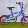 Dragon Kids’ Bike – 14-inch