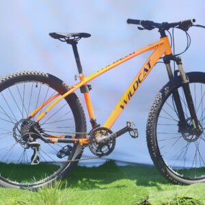 Wildcat Bike